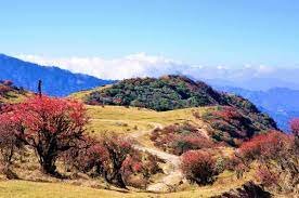 Top 10 Best Places to Visit in Sikkim